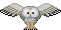 Sova